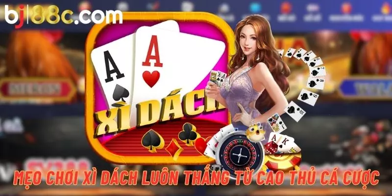 BJ88 shares good blackjack tips to help new players increase their winning rate