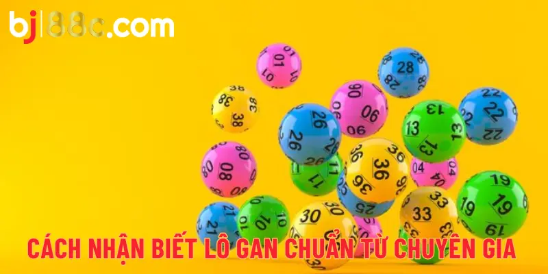 Cách nhận biết lô gan chuẩn từ chuyên gia