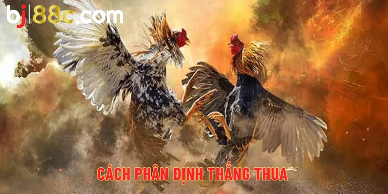 Cách phân định thắng thua trong đá gà miền Nam