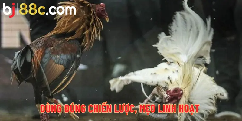 Dùng đúng chiến lược, mẹo linh hoạt