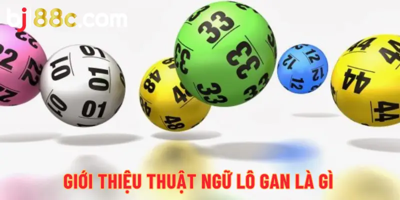 Giới thiệu thuật ngữ lô gan là gì