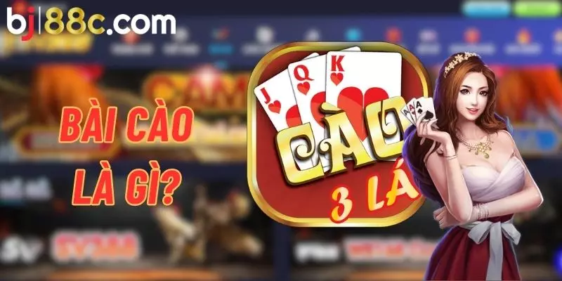 Three-card poker, also known as three-card poker, is popular in Vietnamese casinos.