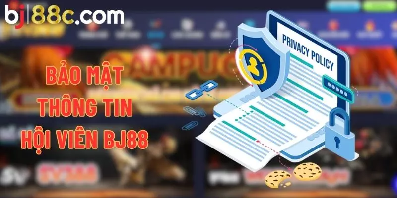 Nắm rõ quy định bảo mật về thông tin hội viên cung cấp tại BJ88