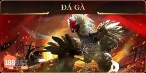 sanh-da-ga-188bet-truc-tiep-2025-cham-mat-chien-ke